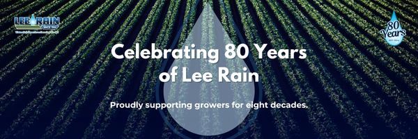 80th website section banner