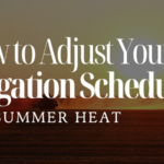 How to Adjust Your Irrigation Schedule for Summer Heat