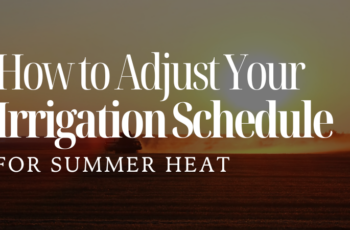 How to Adjust Your Irrigation Schedule for Summer Heat