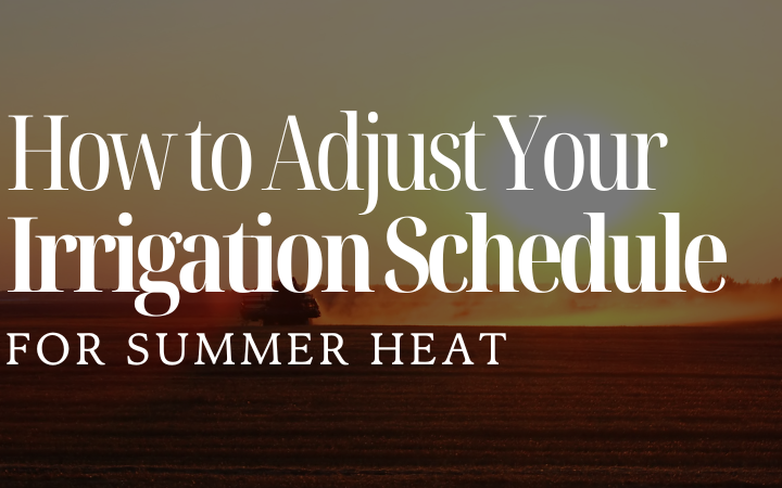 How to Adjust Your Irrigation Schedule for Summer Heat