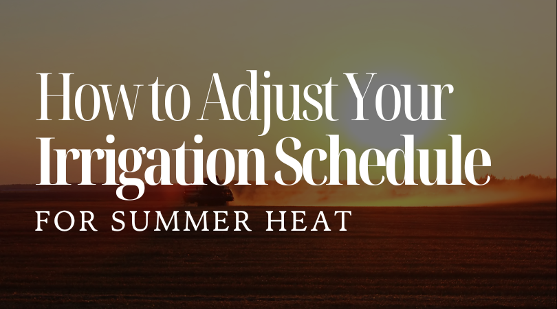 How to Adjust Your Irrigation Schedule for Summer Heat