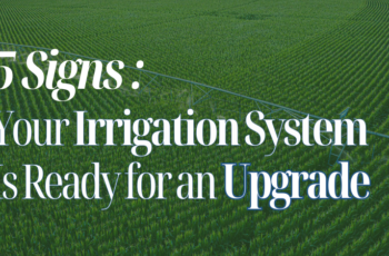5 Signs Your Irrigation System Is Ready for an Upgrade