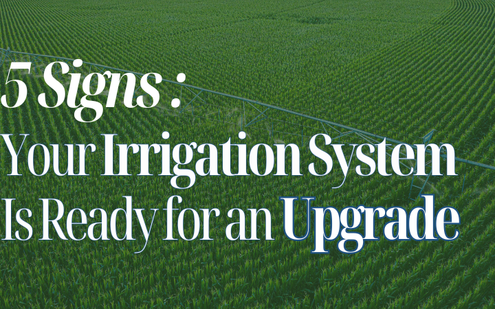 5 Signs Your Irrigation System Is Ready for an Upgrade