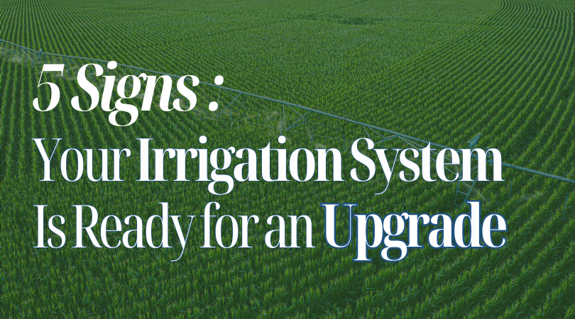 5 Signs Your Irrigation System Is Ready for an Upgrade