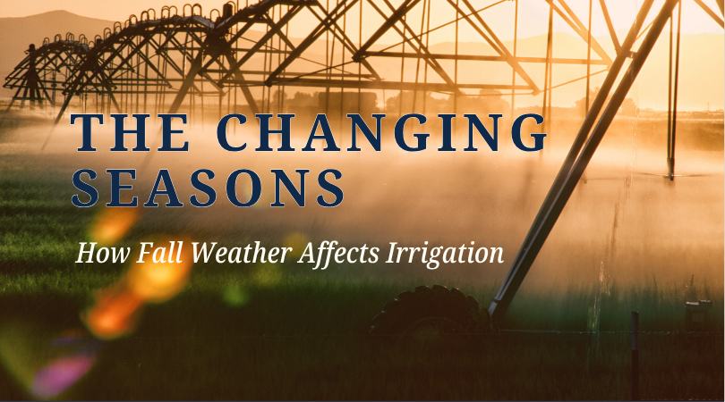 The Changing Seasons: How Fall Weather Affects Irrigation
